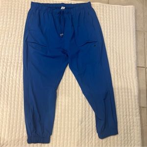 Fabletics joggers